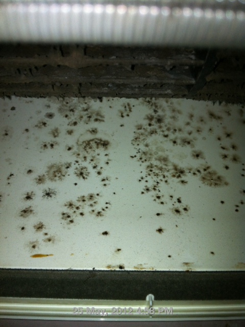 mold at back of aircon