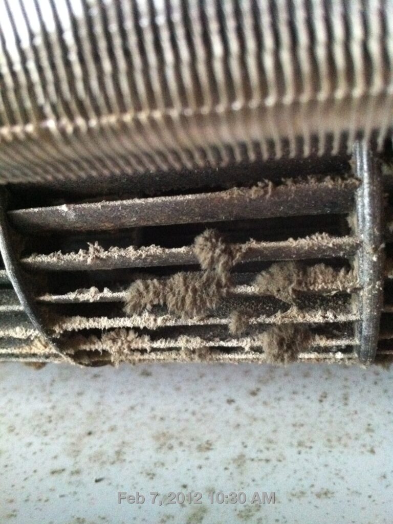 mold on aircon fan blower